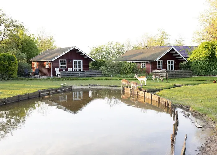 Vakantiehuisjes Landgoed Sonneborghe