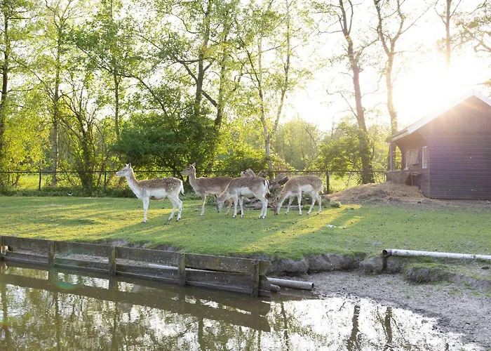 Vakantiehuisjes Landgoed Sonneborghe