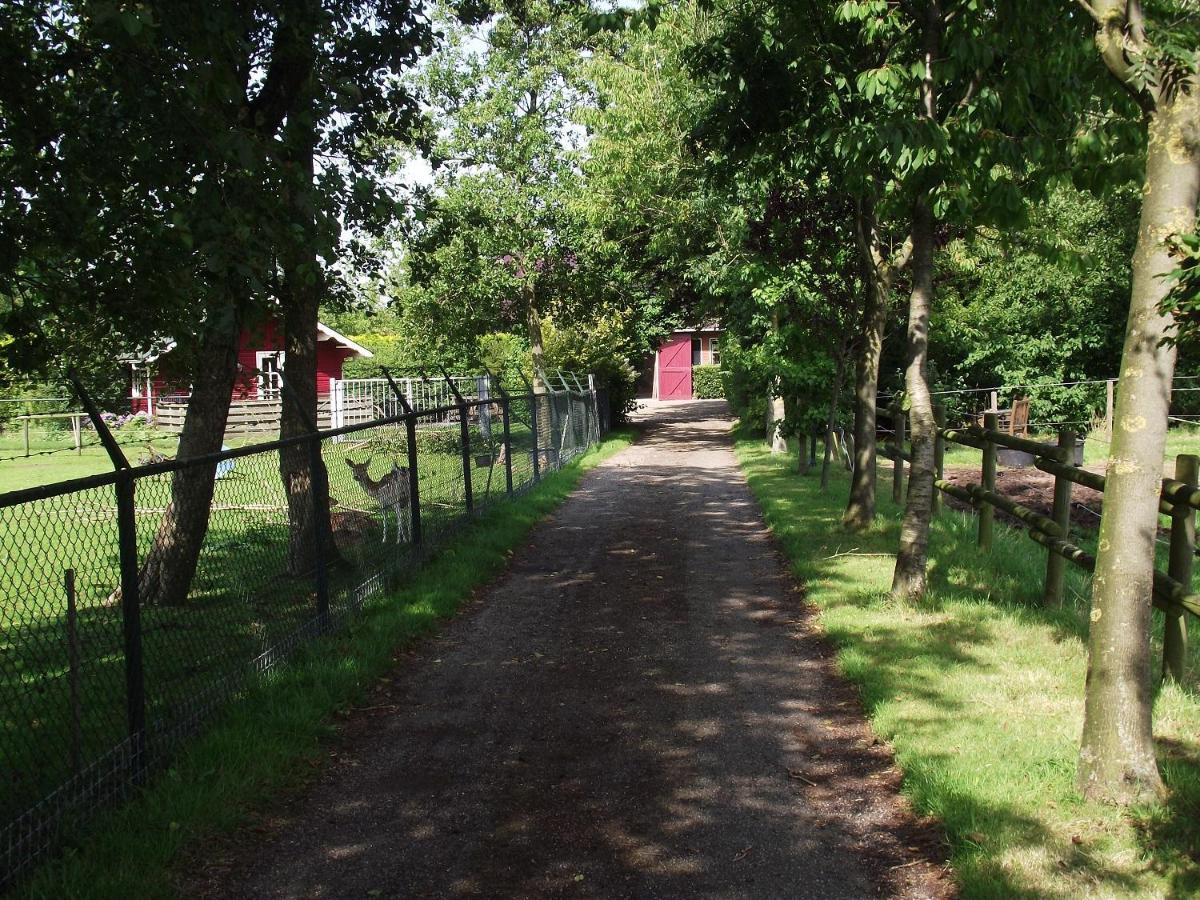 Casa vacanze Vakantiehuisjes Landgoed Sonneborghe Kollumerzwaag