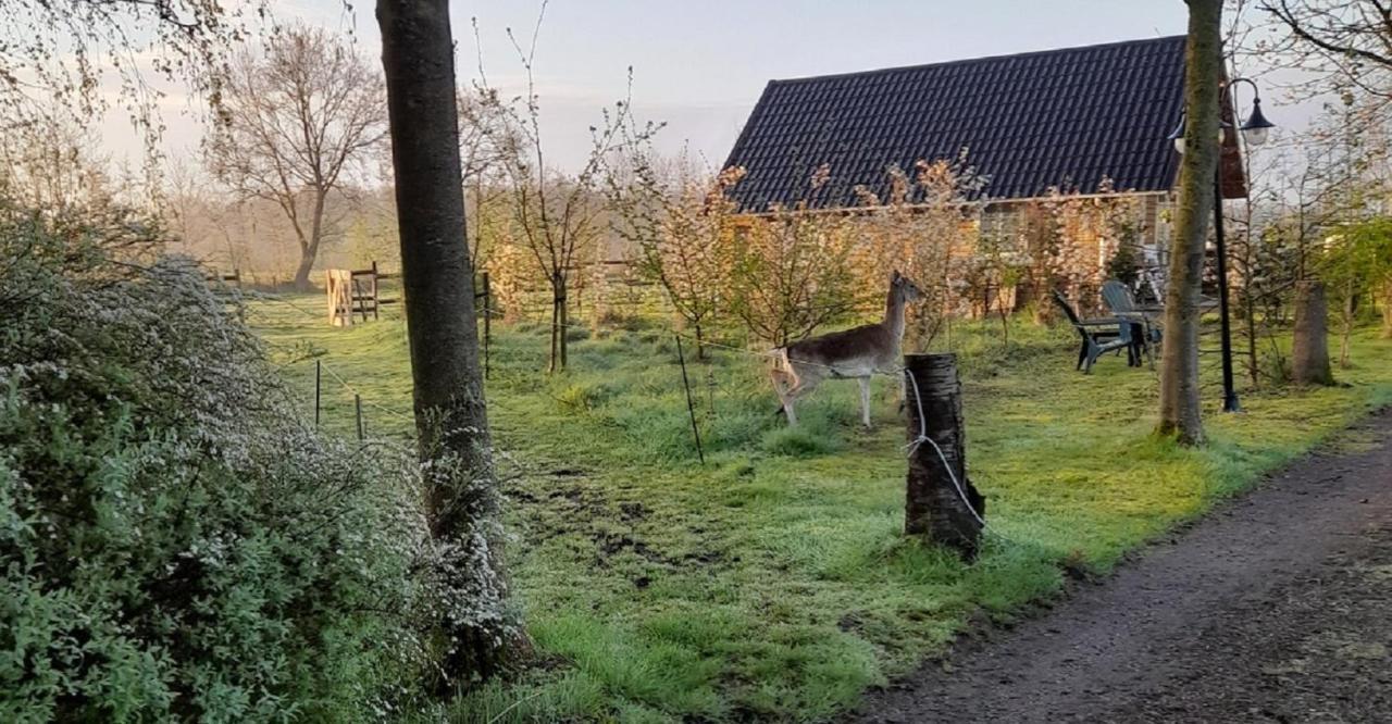 Vakantiehuisjes Landgoed Sonneborghe Casa vacanze Kollumerzwaag