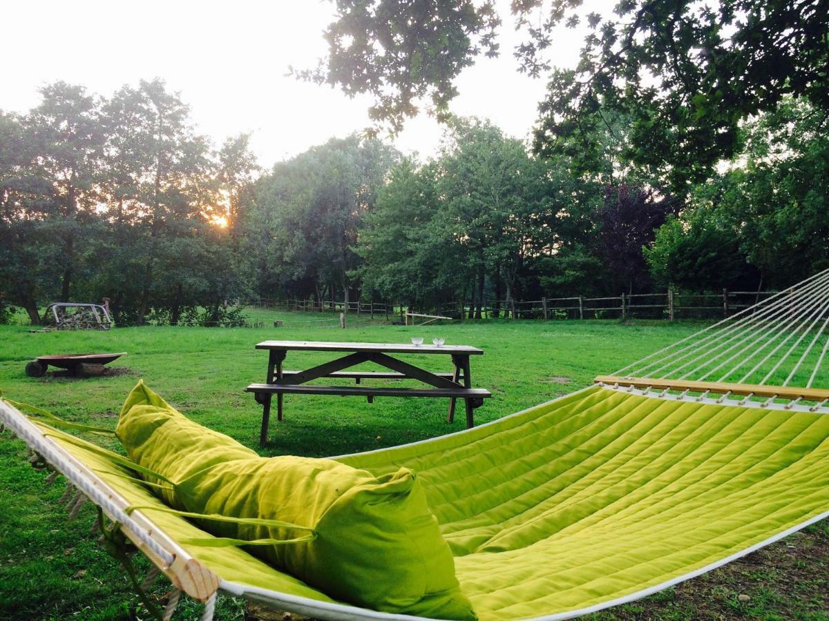 Vakantiehuisjes Landgoed Sonneborghe Casa vacanze Kollumerzwaag