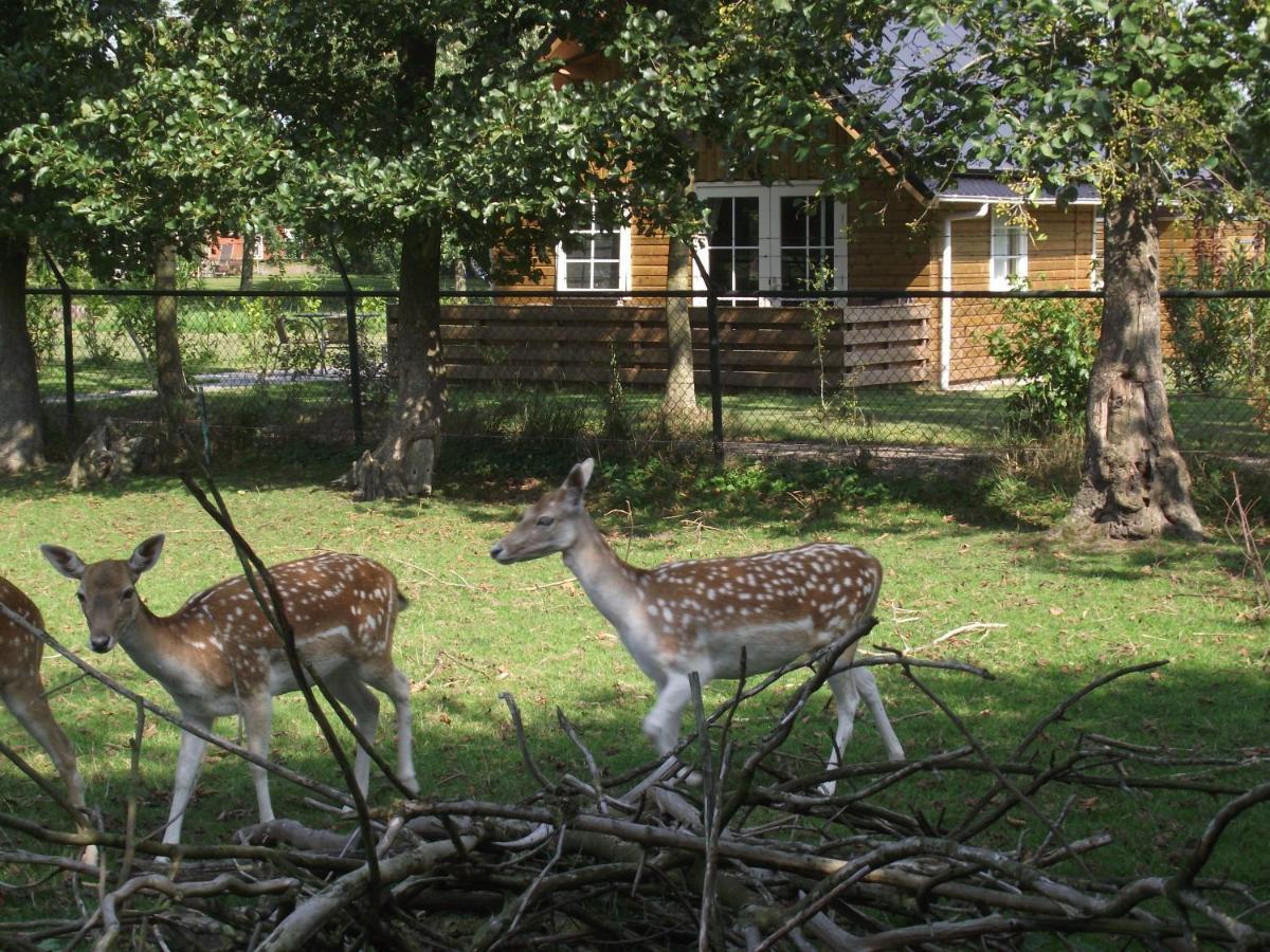 Vakantiehuisjes Landgoed Sonneborghe * Kollumerzwaag